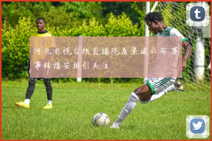 河北电视台线直播观看渠道公布 赛事转播安排引关注