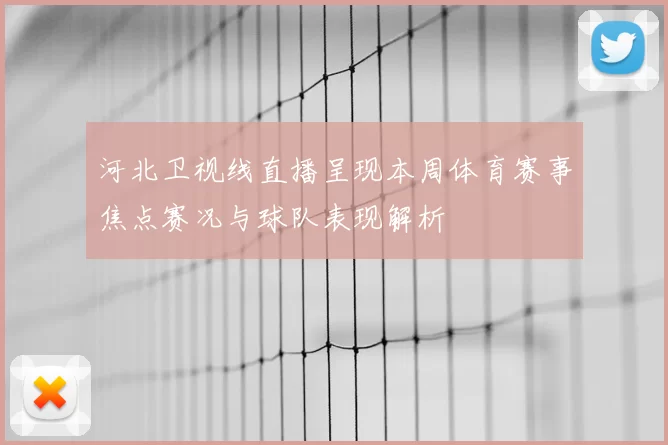 河北卫视线直播呈现本周体育赛事焦点赛况与球队表现解析